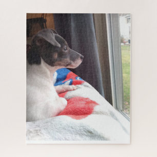 PUZZLE LE PETIT CHIHUAHUA