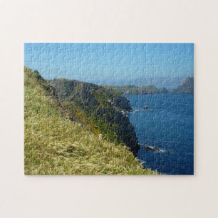 Puzzle Le point d'inspiration d'Anacapa II aux Channel Is