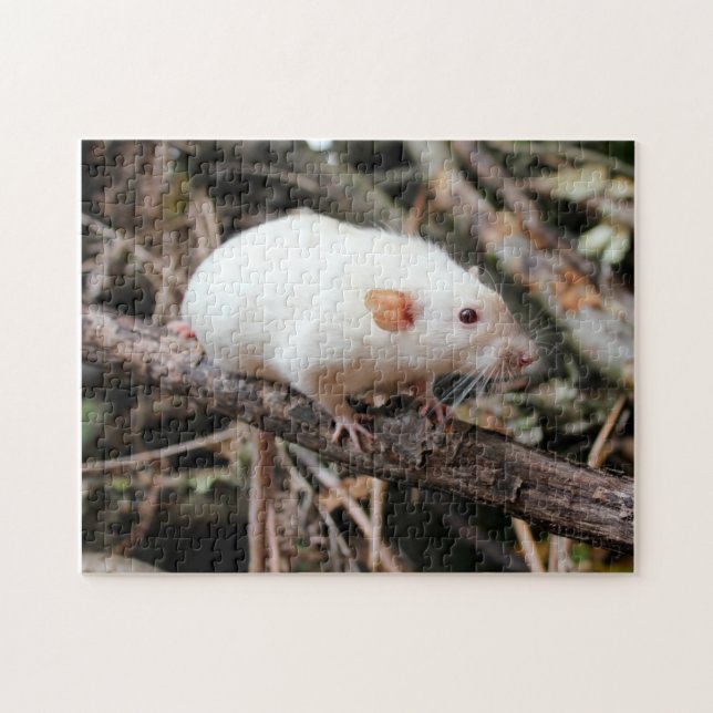 Puzzle Le rat de compagnie Dumbo de Siamese dans les bois (Horizontal)