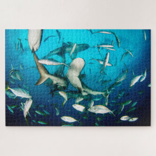 Puzzle Le requin sous-marin français