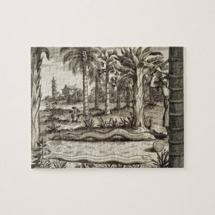 Puzzle Le serpent en pierre, de "Chine a illustré" par