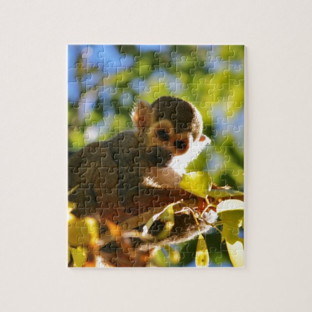 Puzzle Le singe brille (Vertical)