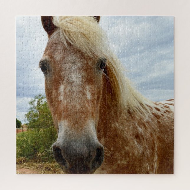 Puzzle "Le sucre : la grâce de l'Appaloosa" (Vertical)