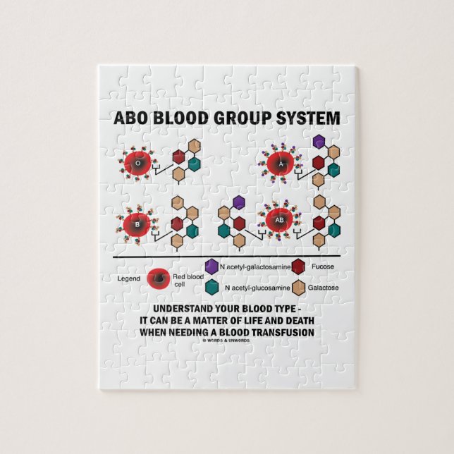 Puzzle Le système de groupe sanguin d'ABO comprennent le (Vertical)