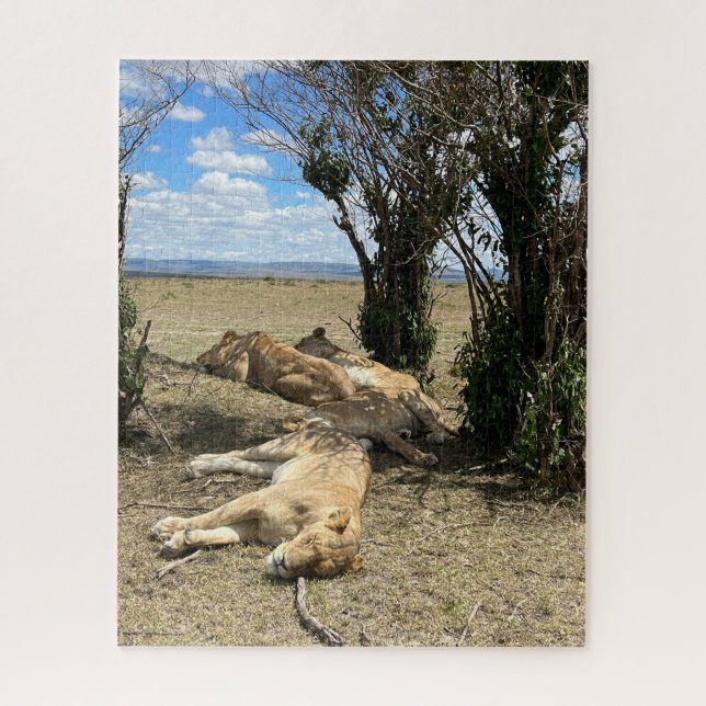 Puzzle Le temps de la sieste pour Lions Kenya (Vertical)