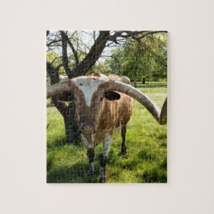 Puzzle Le Texas Longhorn Taureau