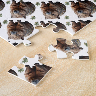 Puzzle Le tourbillon de Wombat : une spirale de merveille