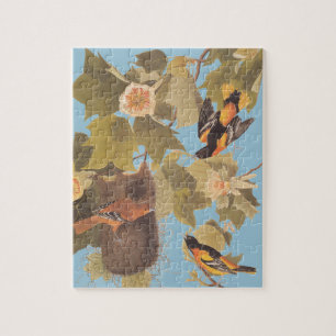 Puzzle Le trio oriental Baltimore d'Audubon