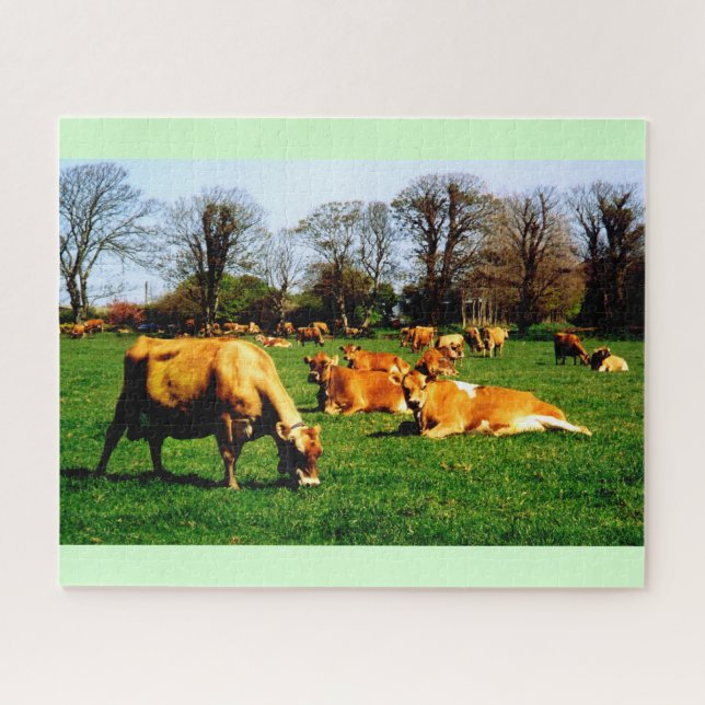 Puzzle Le troupeau de vaches de Jersey (Horizontal)