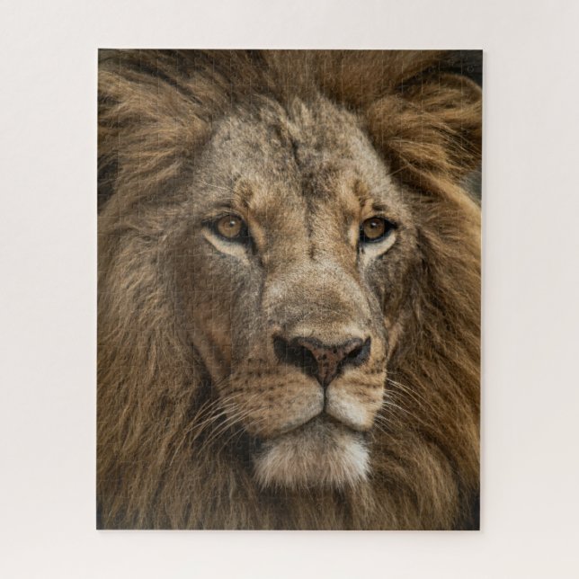 Puzzle Le visage du lion sauvage Grosse chatte faune (Vertical)