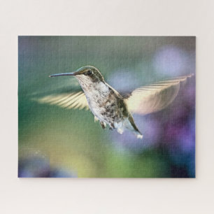 Puzzle Le vol des colibris