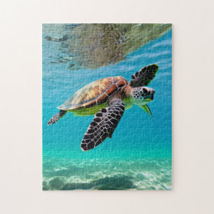Puzzle Le voyage d'une tortue de mer