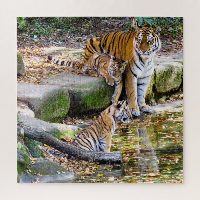 Puzzle Leçons De Vie Mère Tigre Et Cubs (Vertical)