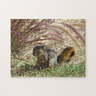 Puzzle - L'écureuil à l'ombre