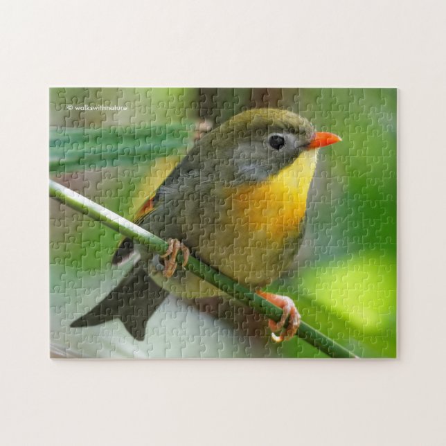 Puzzle Leiothrix coloré / Pekin Robin Songbird (Horizontal)