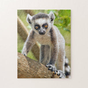 Puzzle Lémurien à anneaux bébé