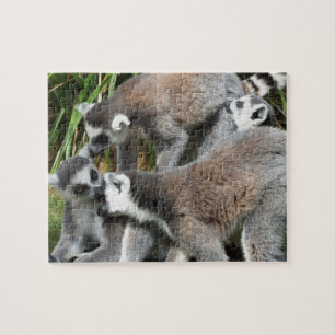 Puzzle Lemurs