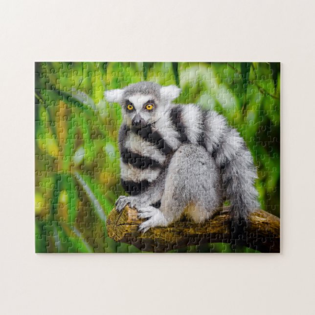 Puzzle Lemurs. (Horizontal)