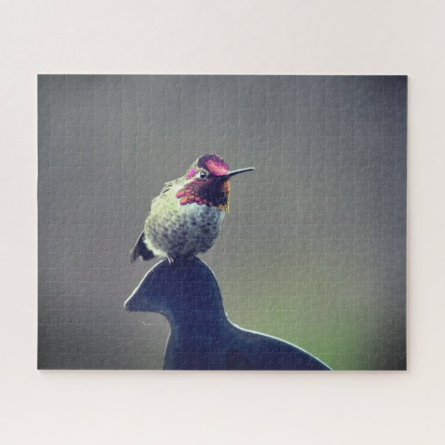 Puzzle L'énigme d'Anna, colibri (Horizontal)