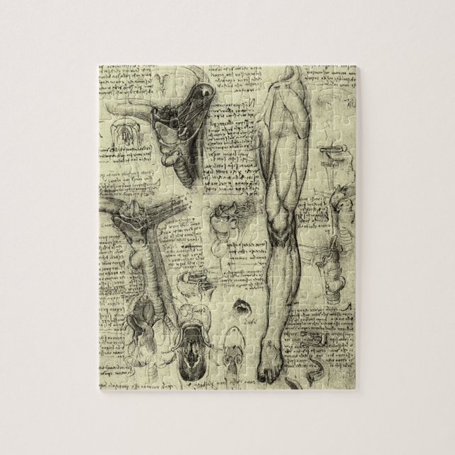 Puzzle Leonardo da Vinci Vintage Anatomie humaine Larynx  (Vertical)