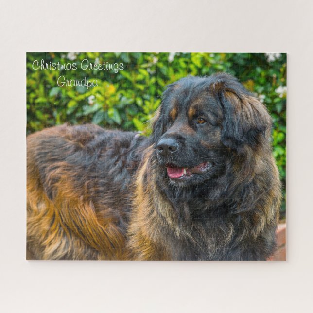 Puzzle Leonberger Dog. (Horizontal)