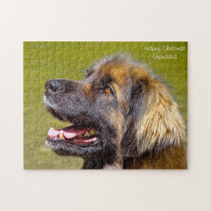 Puzzle Leonberger Dog.