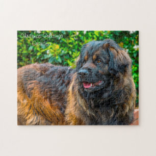 Puzzle Leonberger Dog.