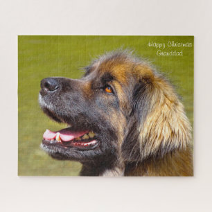 Puzzle Leonberger Dog.