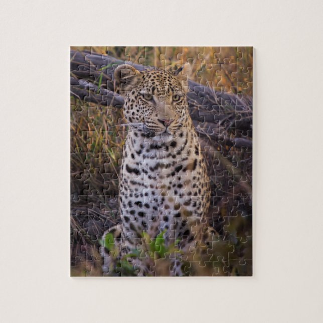 Puzzle Léopard assis, Botswana, Afrique (Vertical)