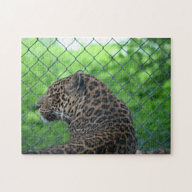 Puzzle Leopard en captivité (Horizontal)