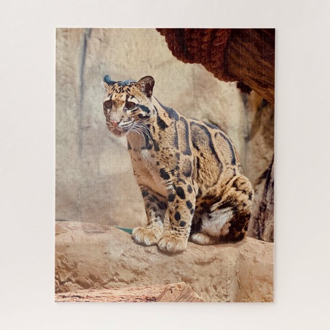 Puzzle léopard nébuleux image nature faune exotique (Vertical)