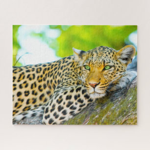 Puzzle Leopards Big Cats.