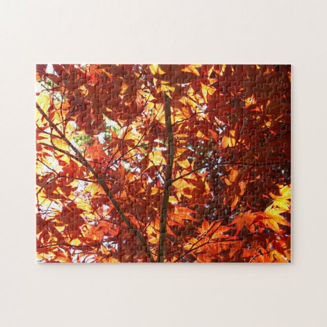 Puzzle L'érable japonais au soleil (Horizontal)