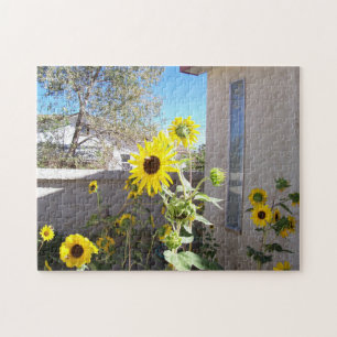 Puzzle Les abeilles dans la photo du patch de tournesol