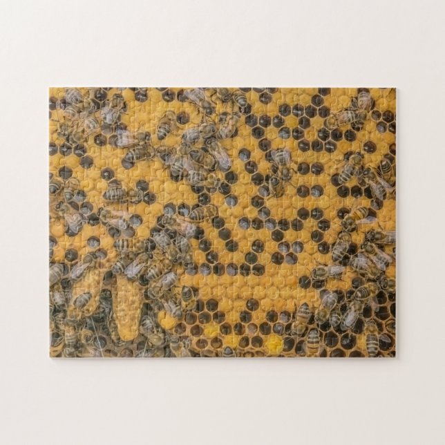 Puzzle Les abeilles et les cellules de la reine en ruche  (Horizontal)