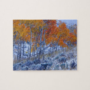 Puzzle Les arbres d'Aspen aux couleurs de l'automne, les