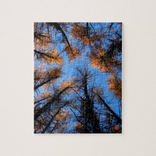 Puzzle Les arbres d'automne au coucher du soleil