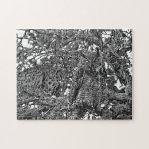 Puzzle Les Arbres Ont Les Yeux Bobcat Et Owl Jigsaw Puzzl