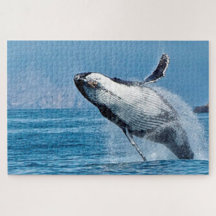 Puzzle Les baleines à bosse de Jigsaws.