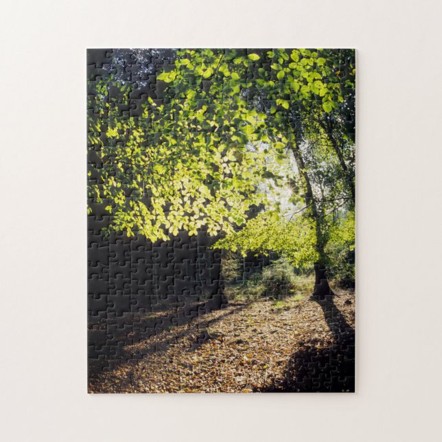 Puzzle Les bois au printemps (Vertical)