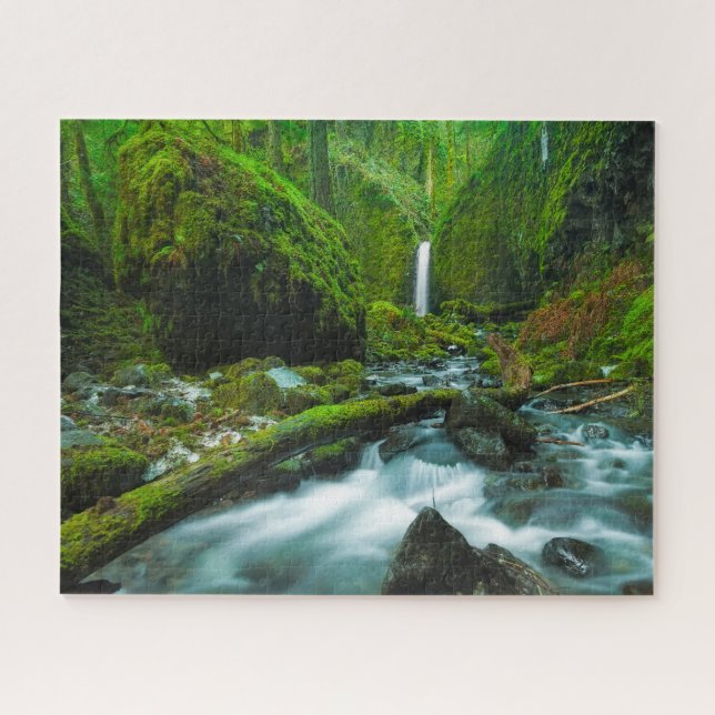 Puzzle Les cascades | Grotto Falls, Oregon (Horizontal)
