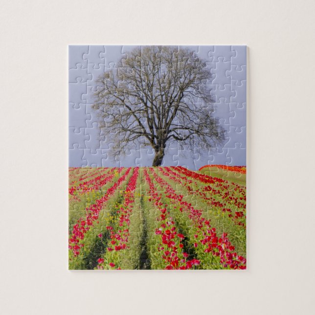 Puzzle Les champs de tulipe et un chêne solitaire ont (Vertical)