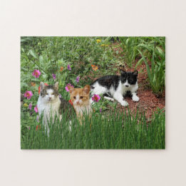 Puzzle Les chats dans le jardin