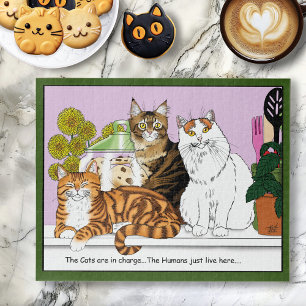 Puzzle Les chats sont en charge