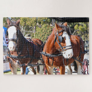 Puzzle Les chevaux Clydesdale harnachés pour tirer le cha