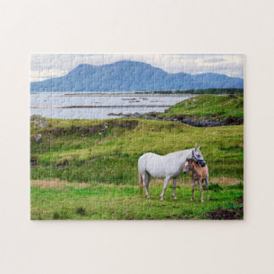 Puzzle Les chevaux de Connemara   Galway, Irlande