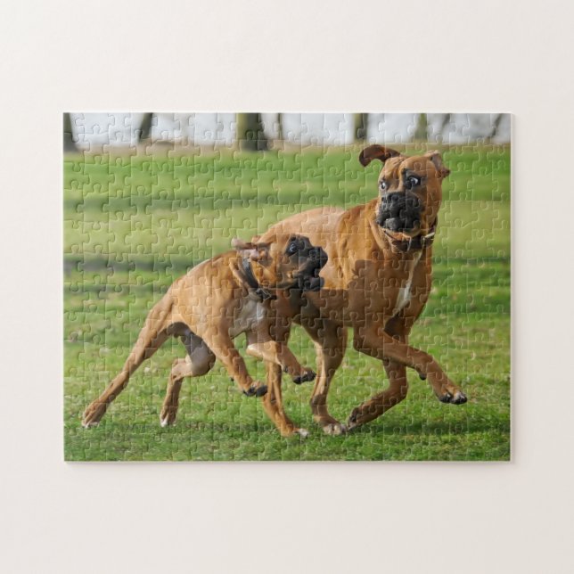 Puzzle Les chiens de boxeur courent une course drôle (Horizontal)