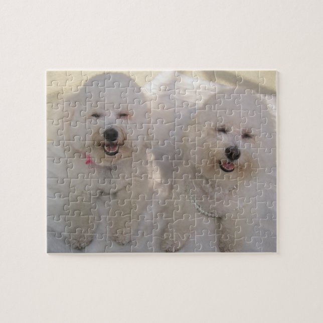 Puzzle Les chiots veulent juste avoir l'amusement ! - (Horizontal)