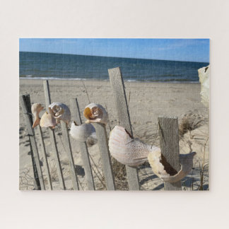 Puzzle Les coquilles de plage sur une clôture au bord de