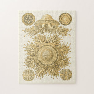 Puzzle Les créatures de la mer d'or